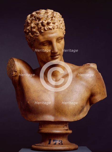 Cast of Bust of Hermes, (from the group 'Hermes with the Infant Dionysus'), (c350-330 BC), c1880s. Creator: D Brucciani & Co.