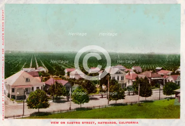 Castro Street, Hayward, California, 1905. Artist: Unknown