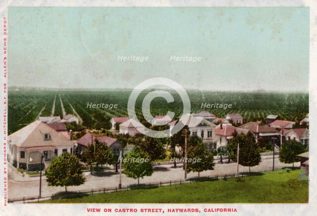 Castro Street, Hayward, California, 1905. Artist: Unknown