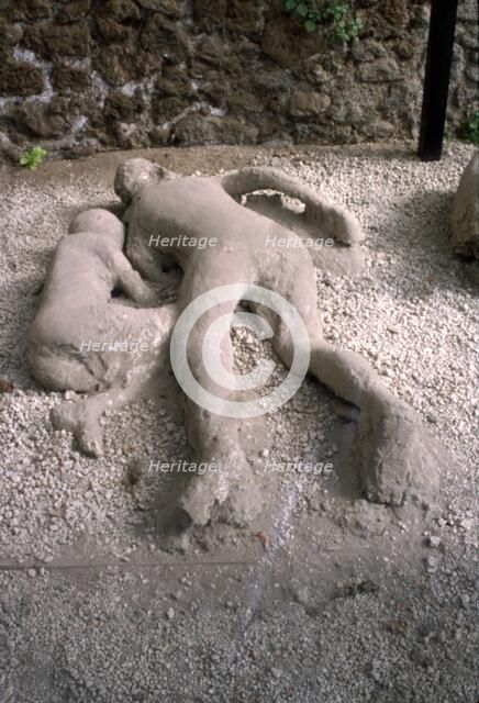 Casts of victims of eruption of Vesuvius in AD79, Pompeii, Italy, c20th century. Creator: Unknown.
