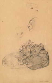 Ceylonese Leopard Cubs. Creator: John MacAllan Swan