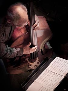 Cecil McBee, 2015. Artist: Alan John Ainsworth