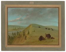 Cedar Bluffs, 1861/1869. Creator: George Catlin