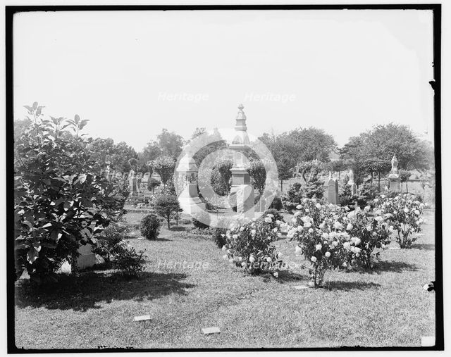 Cedar Grove Cemetery, near Flushing, Long Island, N.Y., c1905. Creator: Unknown.