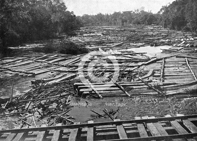 Cedar logs on the Tebicuary-Guazu River floating by the railway bridge, Paraguay, 1911. Artist: Unknown