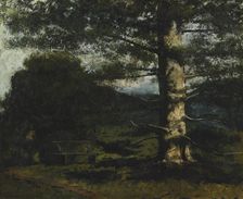 Cedar Tree at Hauteville, c. 1868. Creator: Courbet, Gustave (1819-1877)
