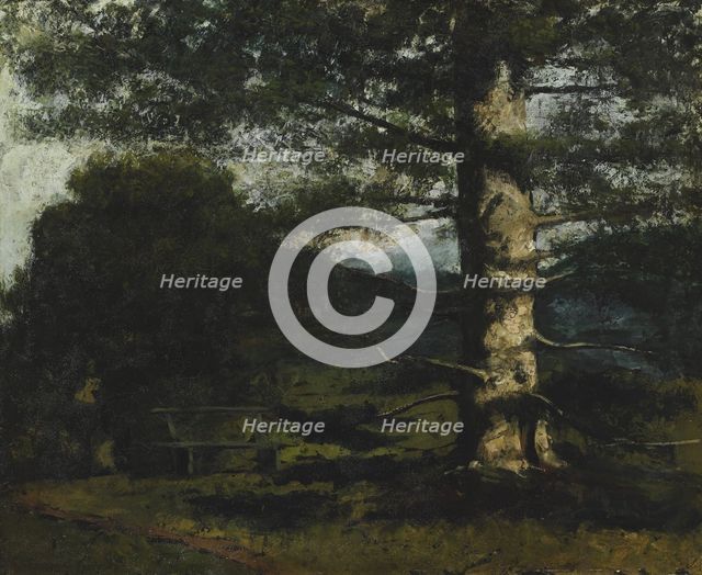 Cedar Tree at Hauteville, c. 1868. Creator: Courbet, Gustave (1819-1877).