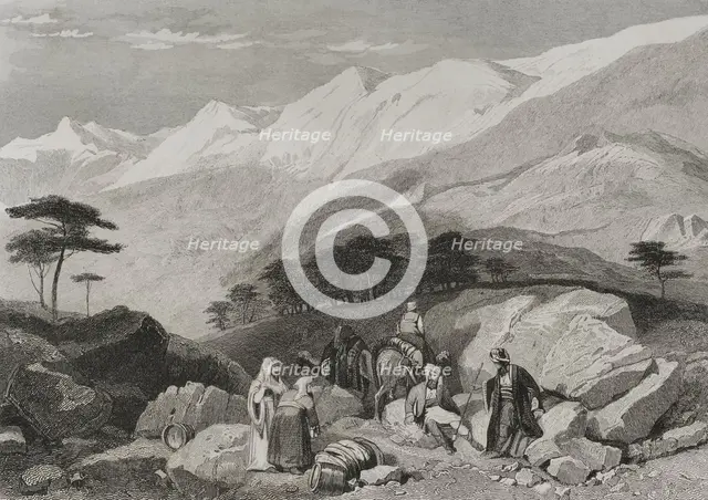Cedars, Mount Lebanon, 1840. Creator: Charles Nicolas Ransonnette.
