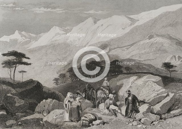 Cedars, Mount Lebanon, 1840. Creator: Charles Nicolas Ransonnette.