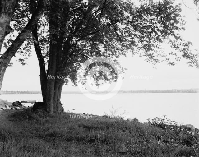 Celeron (i.e. Celoron) from Greenhurst, Lake Chautauqua, between 1880 and 1897. Creator: William H. Jackson.
