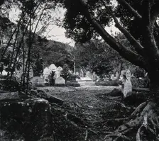 Cemetery, Happy Valley, Hong Kong, 1981 (from a negative of 1868/1871). Creator: John Thomson