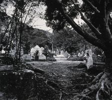 Cemetery, Happy Valley, Hong Kong, 1981 (from a negative of 1868/1871). Creator: John Thomson