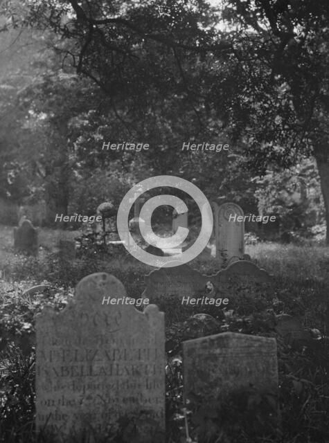 Cemetery, New Orleans or Charleston, South Carolina, between 1920 and 1926. Creator: Arnold Genthe.