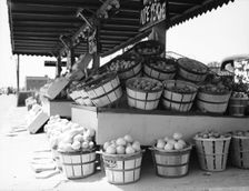 Center Market, Washington, D.C., 1936. Creator: Dorothea Lange