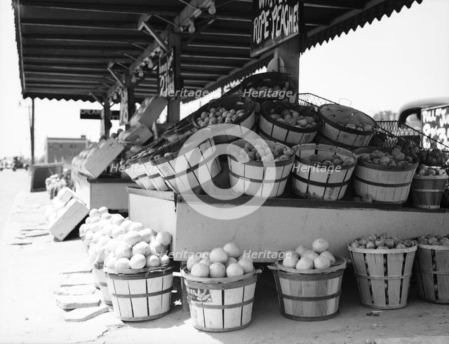 Center Market, Washington, D.C., 1936. Creator: Dorothea Lange.