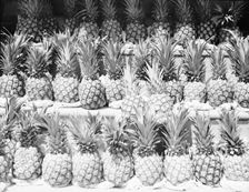 Center Market, Washington, D.C., 1936. Creator: Dorothea Lange