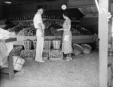 Center Market, Washington, D.C., 1936. Creator: Dorothea Lange
