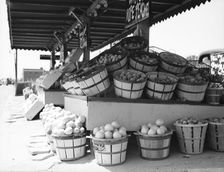 Center Market, Washington, D.C., 1936. Creator: Dorothea Lange