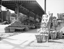 Center Market, Washington, D.C., 1936. Creator: Dorothea Lange