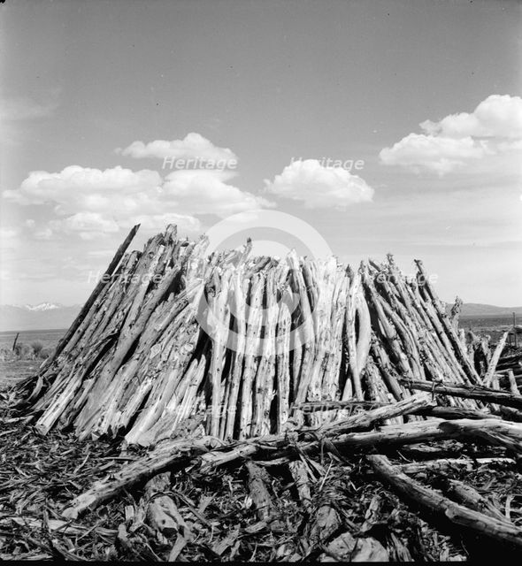 Central Utah dry land adjustment project, forty miles from Tooele, Utah, 1936. Creator: Dorothea Lange.