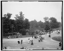 Central Avenue, Belle Isle Park, Detroit, between 1880 and 1930. Creator: Unknown
