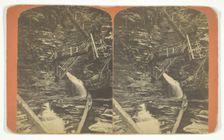 Central Gorge and Jacob's Ladder, 1860/99. Creator: George F. Gates