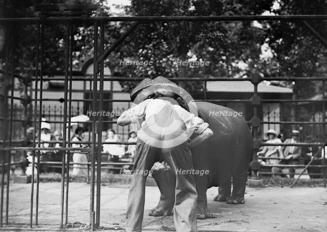 Central Park - man with head in hippo's mouth, between c1910 and c1915. Creator: Bain News Service.