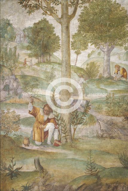 Cephalus Hiding the Jewels, c. 1520/1522. Creator: Bernardino Luini.