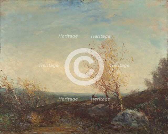 Cerf dans la forêt de Fontainebleau, between 1875 and 1880. Creator: Felix Francois Georges Philibert Ziem.