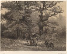 Cerfs au Gagnage. Creator: Karl Bodmer