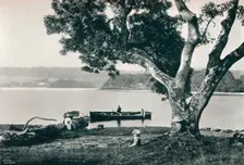 Church Island, Lough Gill, Sligo c1908. Artist: Robert John Welch