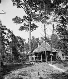 Chaco Chulee, a summer cottage, Ormond, Fla., between 1900 and 1906. Creator: William H. Jackson