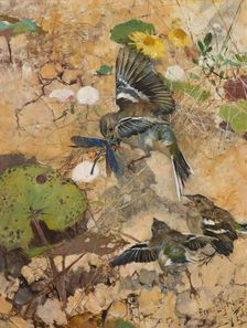 Chaffinches and Dragonflies. Five studies in one frame, 1885. Creator: Bruno Liljefors