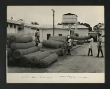 Chain Link Fencing - Upper Prison, Luzira, Kampala, Uganda, c1950s. Creator: Unknown