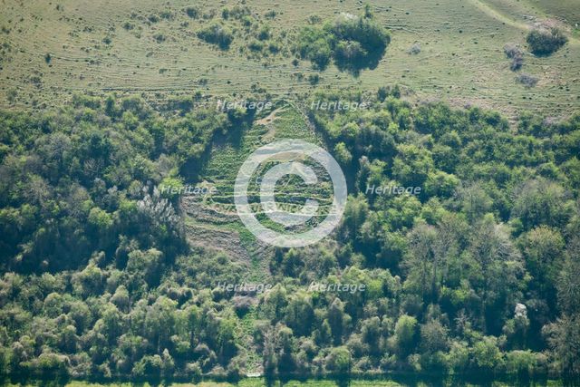 Chalk military badge of the Royal Warwickshire Regiment, near Sutton Down, Wiltshire, 2015. Creator: Historic England Staff Photographer.