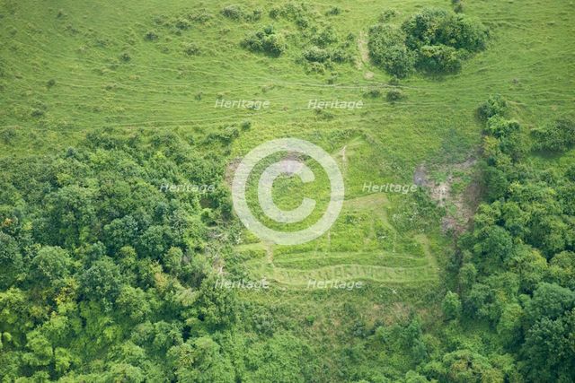 Chalk military badge of the Royal Warwickshire Regiment, near Sutton Down, Wiltshire, 20156 Creator: Historic England Staff Photographer.