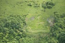 Chalk military badge of the Royal Warwickshire Regiment, near Sutton Down, Wiltshire, 20156 Creator: Historic England Staff Photographer