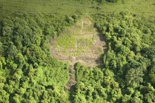 Chalk military badge of the Royal Warwickshire regiment, near Sutton Down, Wiltshire, 2014. Creator: Historic England Staff Photographer