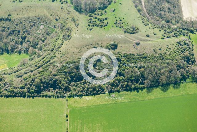 Chalk military badges near Sutton Down, Wiltshire, 2015. Creator: Historic England Staff Photographer.