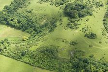 Chalk military badges near Sutton Down, Wiltshire, 2016. Creator: Historic England Staff Photographer