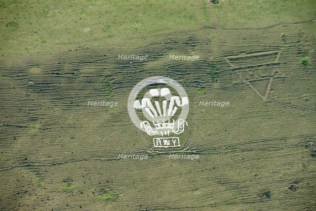 Chalk military badges, Fovant Down, Wiltshire, 2015. Creator: Historic England Staff Photographer.