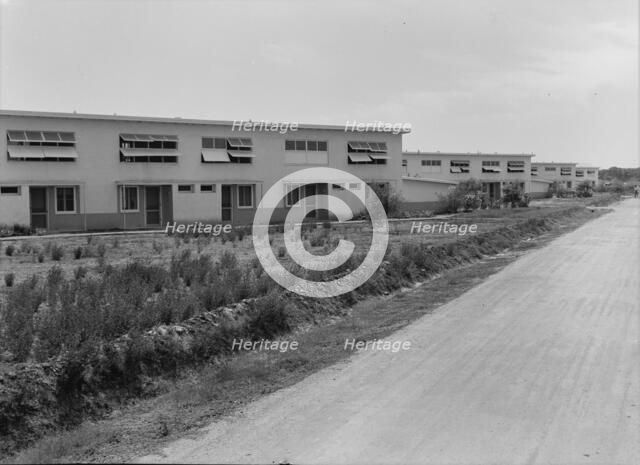 Chandler project, Farm Security Administration, Arizona, 1938. Creator: Dorothea Lange.