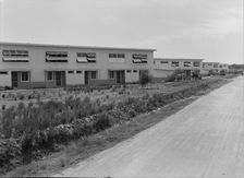 Chandler project, Farm Security Administration, Arizona, 1938. Creator: Dorothea Lange