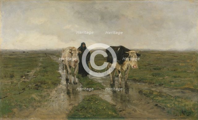 Changing Pasture, ca. 1880s. Creator: Anton Mauve.