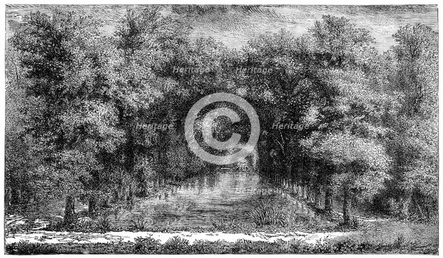 Chantilly Park, Paris, France, (1885). Artist: Unknown