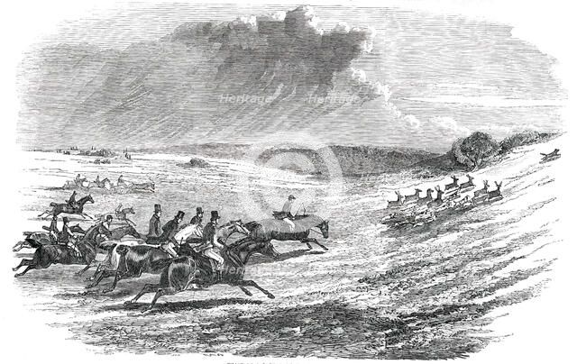 Chase of a Jackal, in the New Forest, 1850. Creator: Unknown.