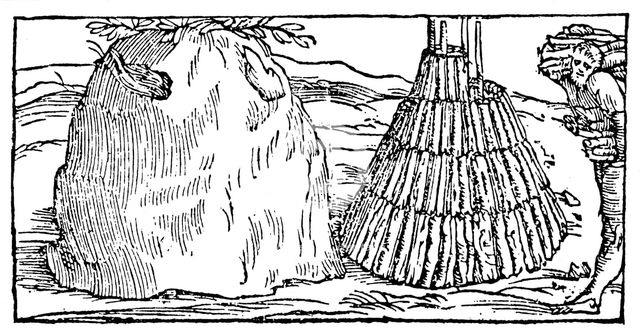 Charcoal burning, 1540. Artist: Unknown