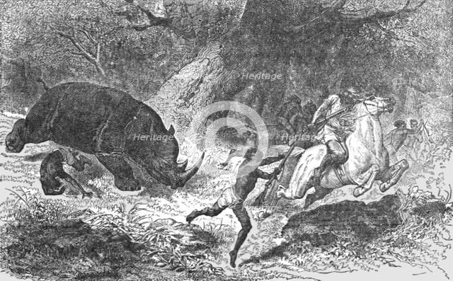 'Charge of the Black Rhinoceros; Life in a South African Colony', 1875. Creator: Unknown.