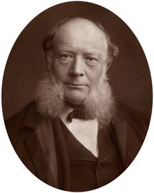 Charles William Siemens, DCL, FRS, German electrical engineer and inventor, 1883.Artist: Lock & Whitfield