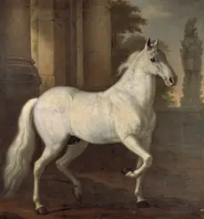 Charles XI's favourite horse Brilliant, 1680. Creator: David Klocker Ehrenstrahl